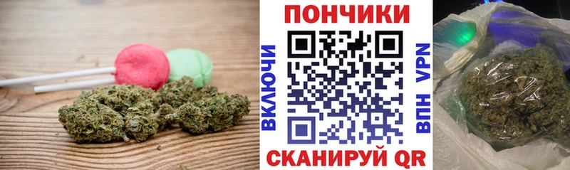 Купить где Зеленодольск Canna-Cookies марихуана