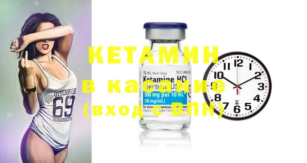 крисы Тавда