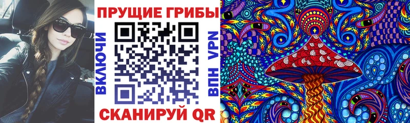 Галлюциногенные грибы Psilocybine cubensis  Купить закладки  Зеленодольск 
